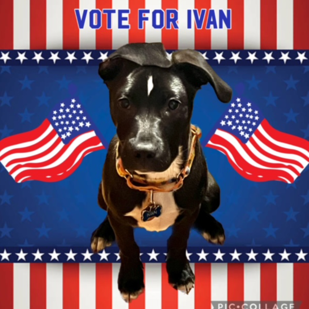 Meet Ivan Evans Furry Fundraiser
